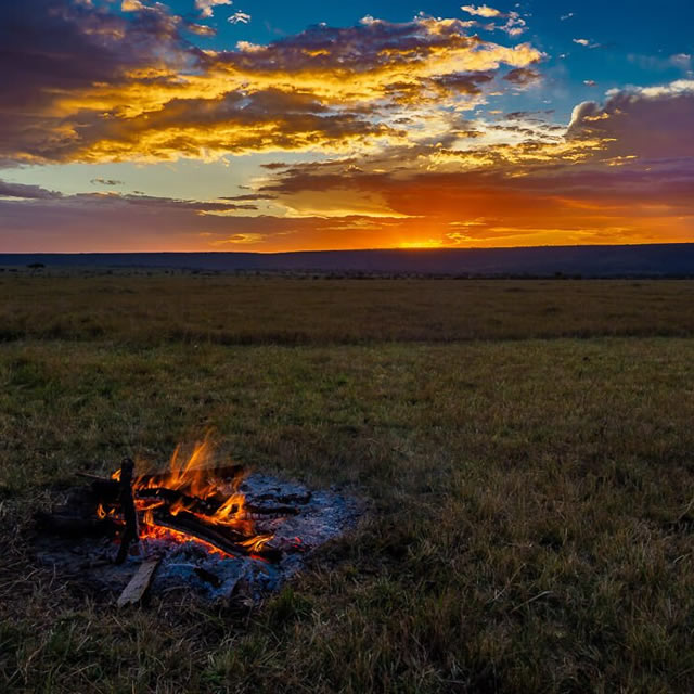 bush dining at the royal mara safari lodge